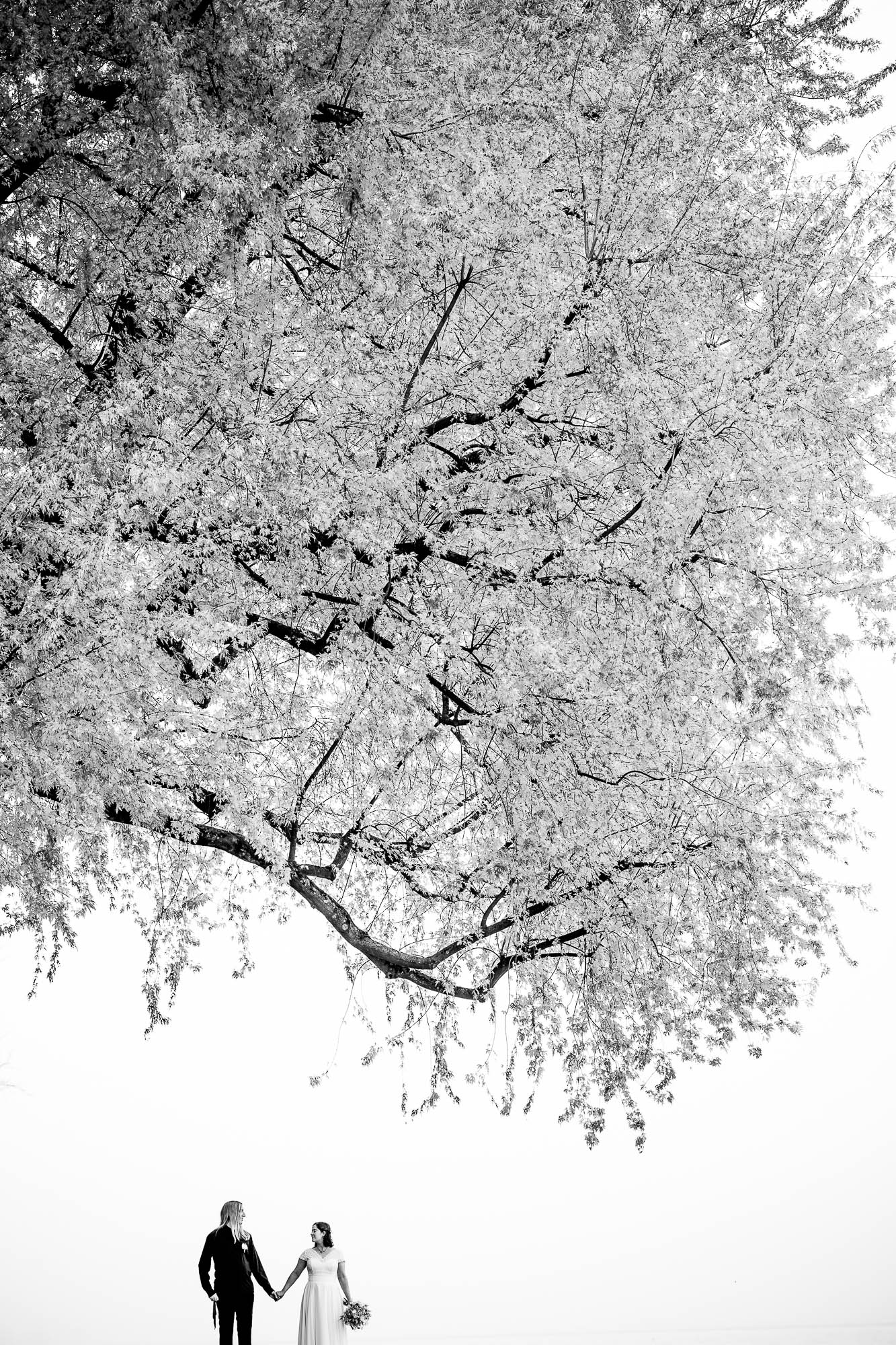 Export x3 1DX29356 Hochzeit 2020 Monika & Sharru 5